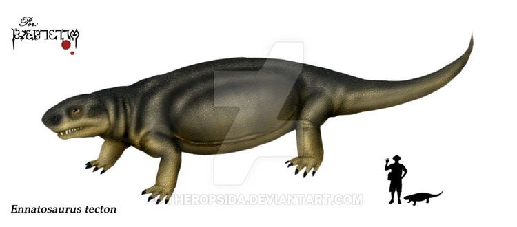 Ennatosaurus Ennatosaurus tecton by Theropsida on DeviantArt