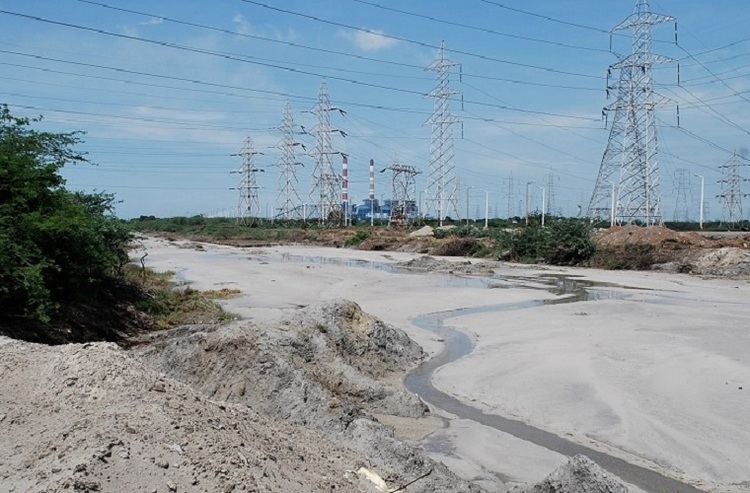 Ennore creek Explainer Why Chennai needs to speak up to save the Ennore creek