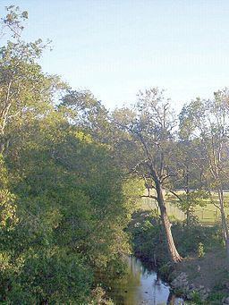 Enoggera Creek httpsuploadwikimediaorgwikipediacommonsthu