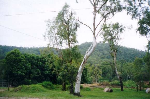 Enoggera Hill