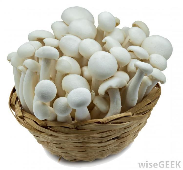 Enokitake What is Enokitake with pictures