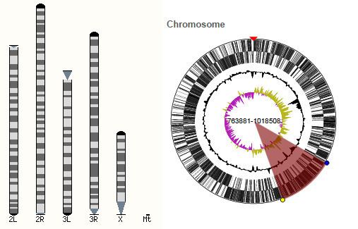 Ensembl Genomes