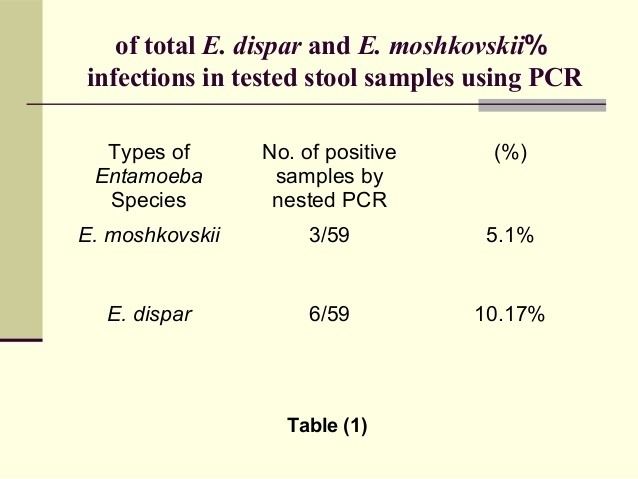 Entamoeba moshkovskii httpsimageslidesharecdncom16bf840fbdef4a4e