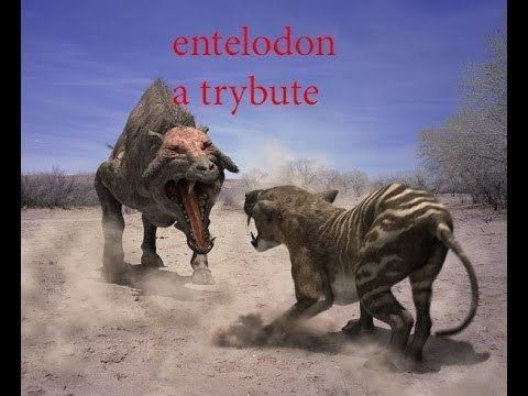 Entelodon Entelodon AMV SkilletMonster YouTube