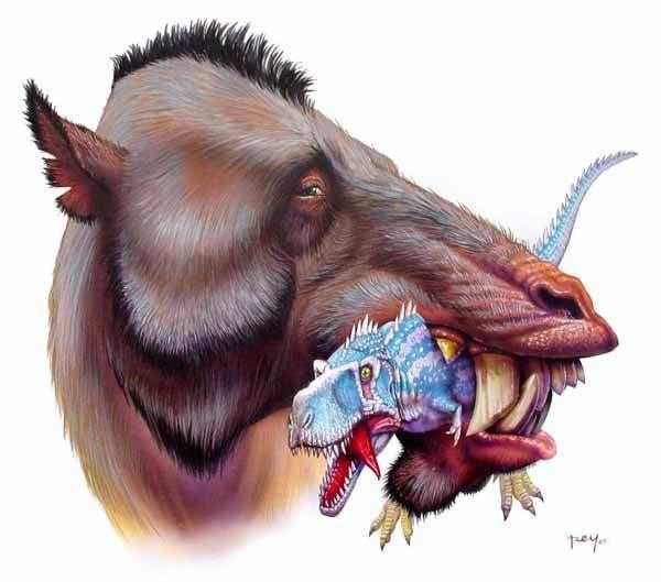 Entelodont Those giant killer pigs from hell aren39t pigs Scientific American