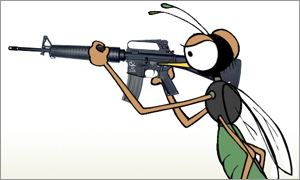 Entomological warfare Opsec News Entomological warfare