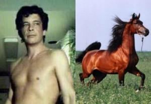 Horse Washington on porn in Animal porn