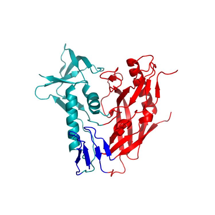 Envelope glycoprotein GP120 httpsuploadwikimediaorgwikipediaen66aHIV