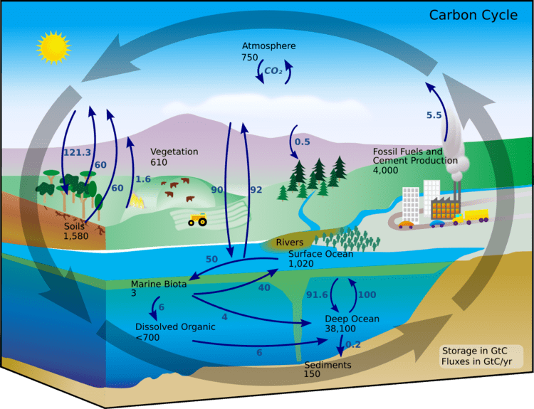 Environmental engineering science