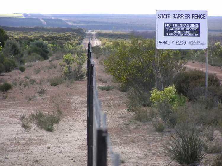 Environmental issues in Australia