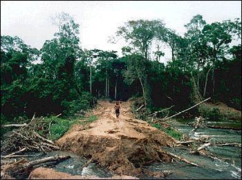 Environmental issues in Brazil