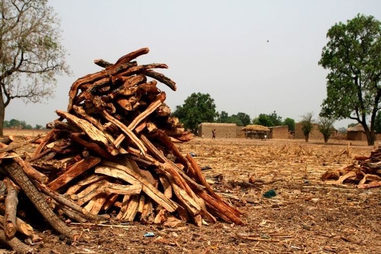 Environmental issues in Mali