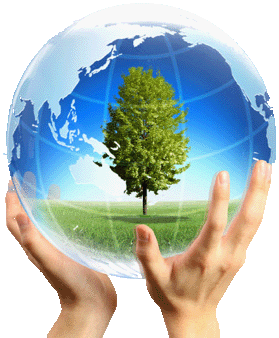 Environmental protection Economic Development Versus Environmental Protection Publish with
