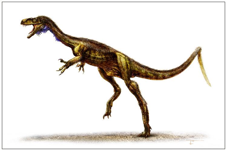 Eodromaeus Eodromaeus Adds Context to Dinosaur Origins Science Smithsonian