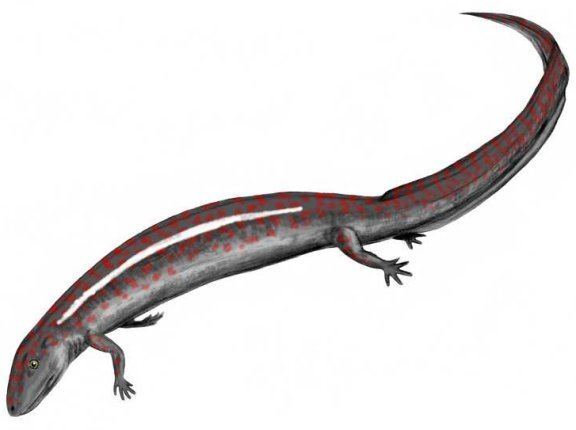 Eogyrinus Eogyrinus Prehistoric Animals