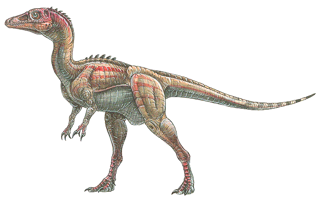 Eoraptor Eoraptor lunensis dinosaur from triassic period