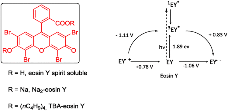 Eosin Y Synthetic applications of eosin Y in photoredox catalysis Chemical