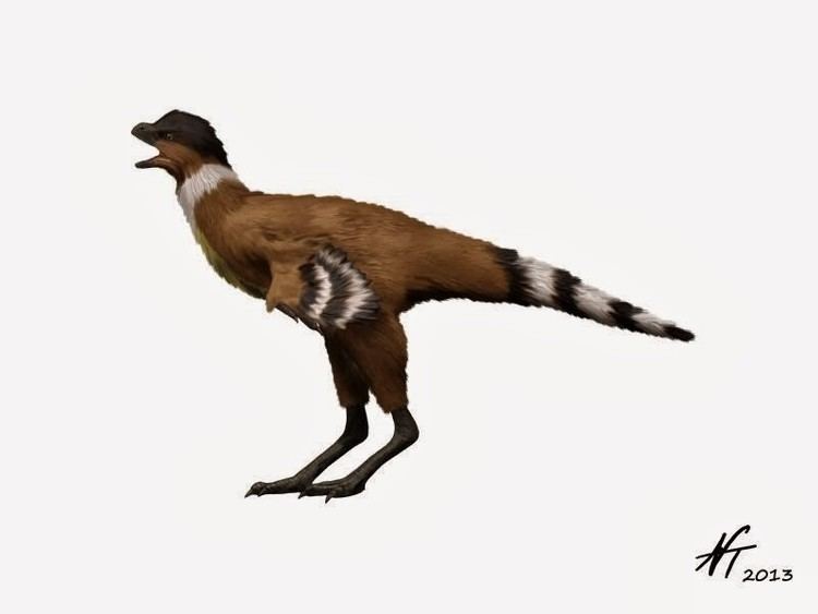 Eosinopteryx Eosinopteryx Pictures amp Facts The Dinosaur Database