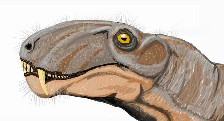 Eotitanosuchus Eotitanosuchus Wikipedia