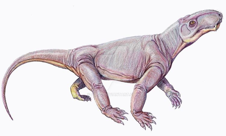 Eotitanosuchus Eotitanosuchus olsoni by DiBgd on DeviantArt