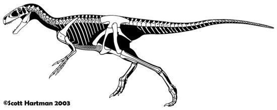 Eotyrannus DinoWight Eotyrannus an Isle of Wight Tyrannosauroid