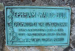 Ephraim Wales Bull Ephraim Wales Bull Wikipedia
