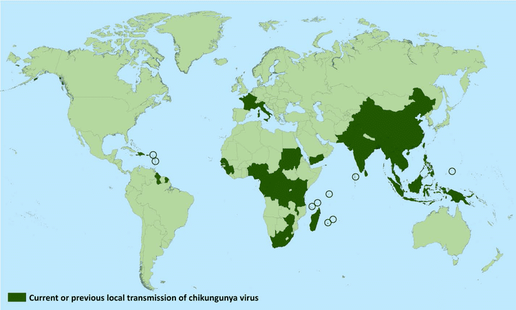 Epidemiology of chikungunya wwwwikidocorgimagesffeChikungunyacasespng