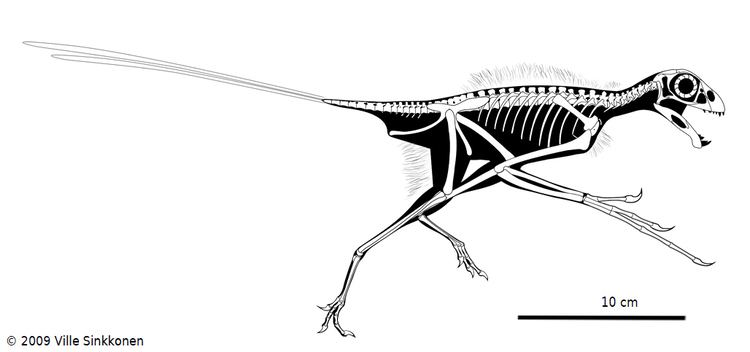 Epidexipteryx epidexipteryx DeviantArt
