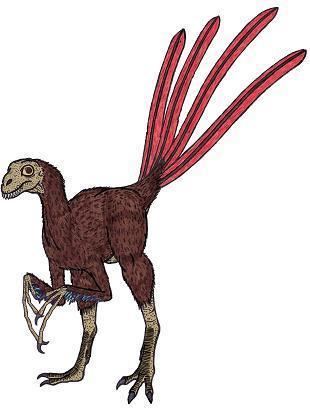Epidexipteryx Epidexipteryx Dinosaur Facts information about the dinosaur