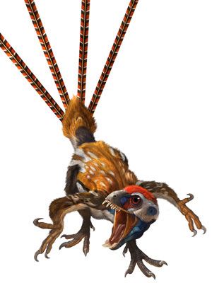 Epidexipteryx Epidexipteryx bizarre little strapfeathered maniraptoran