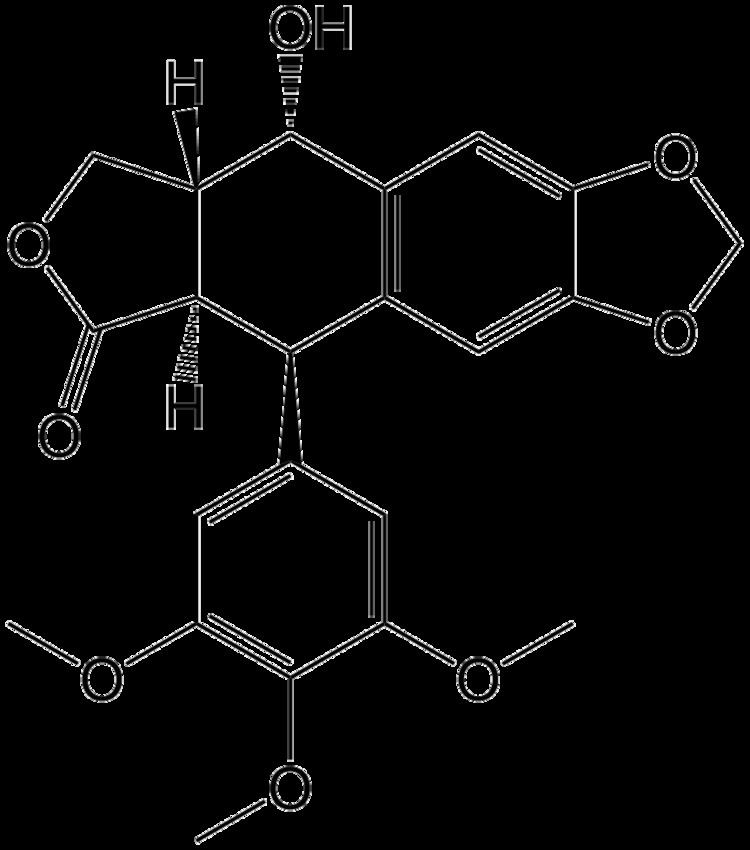 Epipodophyllotoxin httpsuploadwikimediaorgwikipediacommonsaa