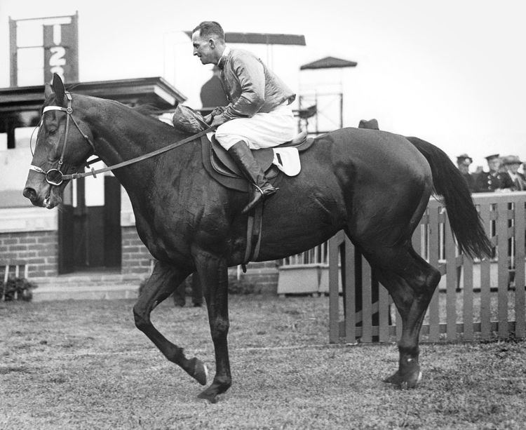 Epsom Handicap