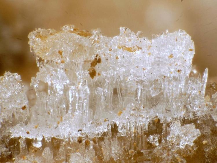 Epsomite Epsomite For Sale eRocks Mineral Auctions