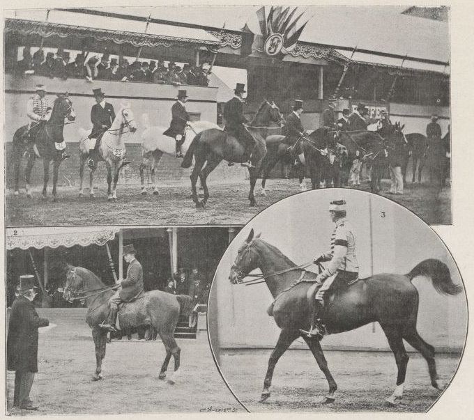 Equestrian at the 1900 Summer Olympics – Hacks and hunter combined