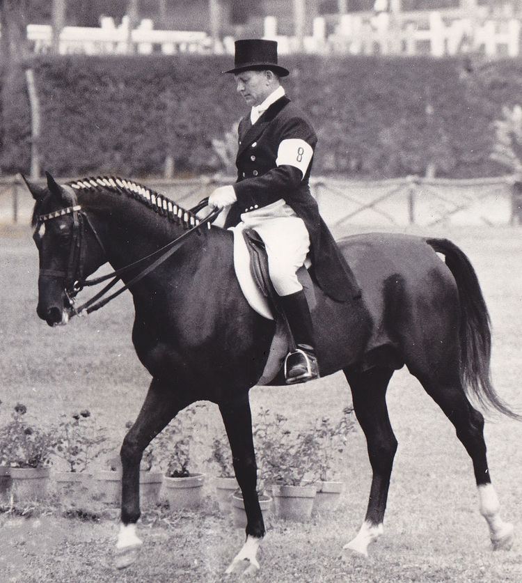 Equestrian at the 1960 Summer Olympics