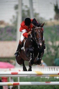 Equestrian at the 1992 Summer Olympics