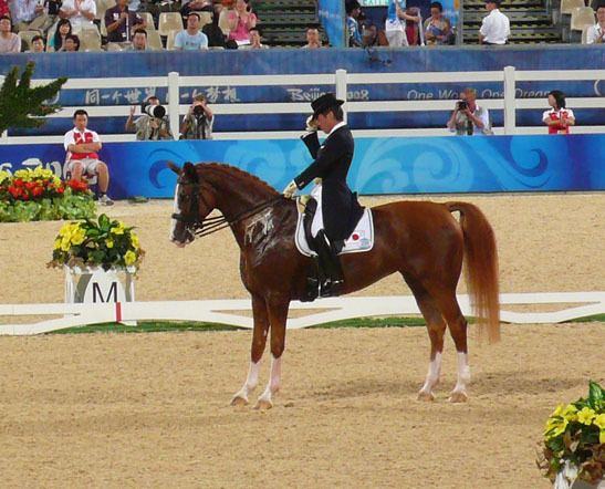 Equestrian at the 2008 Summer Olympics