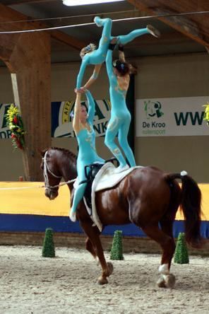 Equestrian vaulting