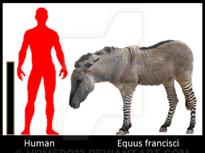 Equus francisci img04deviantartnet649bi201510619equusfra