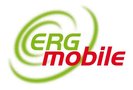ERG Mobile httpswwwtotalergittemplatestotalergimgrep