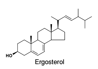 Ergosterol Ergot Wild Flower Finder