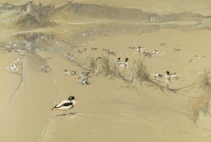 Eric Ennion BIRDS ON THE SHORE AT BROWNSEA ISLAND by Eric Ennion