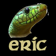 Eric (software)