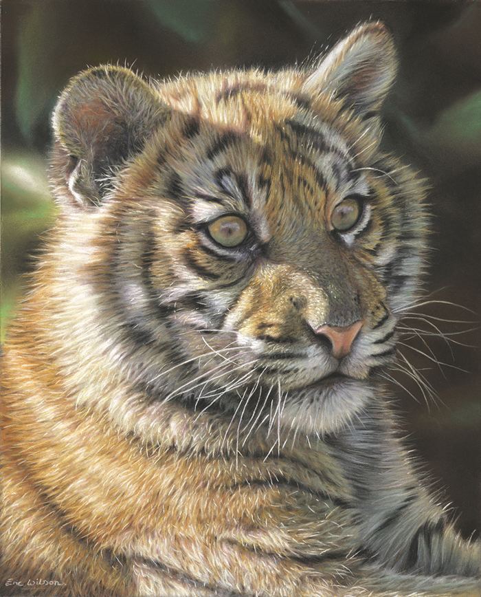 Eric Wilson (artist) Eric Wilson Wildlife Artist