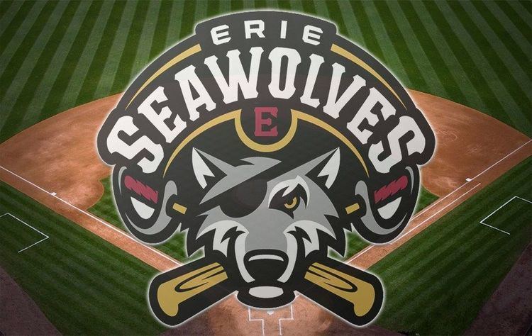 Erie SeaWolves Erie SeaWolves name Fernando Aguirre as new team owner Erie News