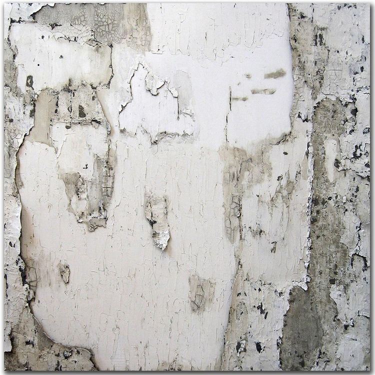 Erik Sommer Cement Paintings by Erik Sommer