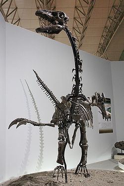 Erliansaurus httpsuploadwikimediaorgwikipediacommonsthu