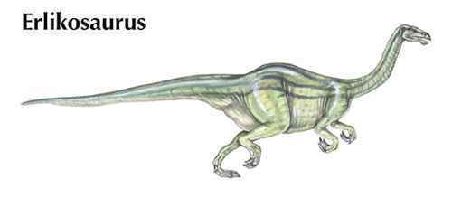 Erlikosaurus Erlikosaurus Kids Encyclopedia Children39s Homework Help Kids