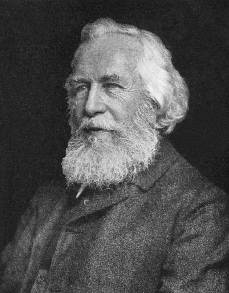 Ernst Haeckel Ernst Haeckel Wikipedia the free encyclopedia