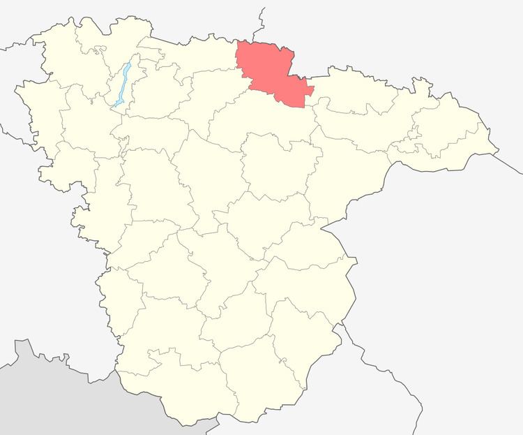 Ertilsky District